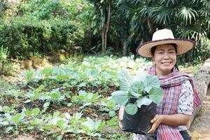 asiatisk trädgårdsmästare kvinna håll ung kål växt i svart plast väska till växa i tillbaka gård vegetabiliska trädgård. begrepp, trädgårdsarbete, utgifterna tid efter arbete, helgen, Semester till växa vegetabiliska på Hem. foto