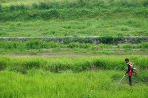 bogor, Indonesien, 2023 - topp se av en man i en morgonrock klippning de gräs med en trimmer foto