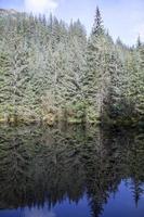 juneau stad mendenhall glaciär parkera reflektioner foto