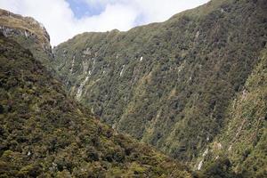 fjordland nationell parkera grön berg dal foto