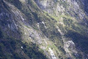 fjordland nationell parkera berg brant sida foto