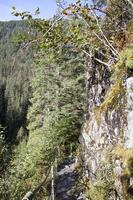 juneau stad mendenhall glaciär parkera smal spår foto