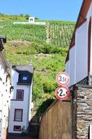zell ett der Mosel, Tyskland, 2022 - svart katt vingård ovan zell ett der mosel foto