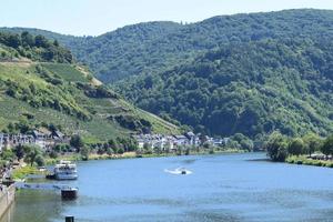 zell ett der Mosel, idyllisk sommar se foto