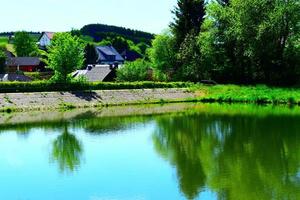 grön Strand av en reservoar i sommar foto