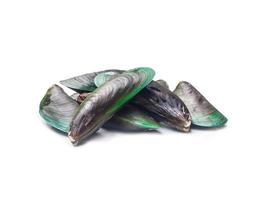 rå mat av färsk grön musslor i stack isolerat på vit bakgrund med klippning väg foto
