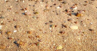 de sandig strand förbi de hav är en syn till skåda. med mjuk gyllene sand gör du känna uppdateras och föryngrad. sandig stränder, skal och stenar göra strand skön i natur. Bra plats till koppla av foto