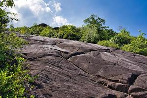 anse större natur spår enorm sten stenblock och kokospalm plommon träd, mahe Seychellerna foto