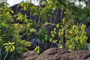 anse större natur spår granit stenar och växter, mahe Seychellerna foto