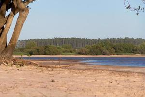 sommar landskap på de banker av de flod i de stad av federation provins av entre rios argentina foto