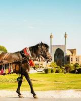 dekorerad brun iranian häst transport för rida, populär lokal- attraktion i isfahan fyrkant, iran foto