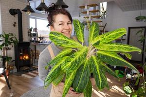 en Lycklig kvinna i en grön hus med en inlagd växt i henne händer ler, tar vård av en blomma. de interiör av en mysigt miljövänlig hus, en öppen spis spis, en hobby för växande och föder upp hemplanta foto