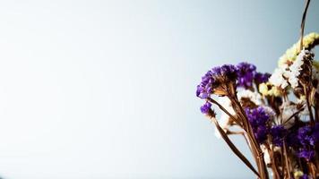 bukett av torkades blommor på en vit bakgrund. selektiv fokus. foto