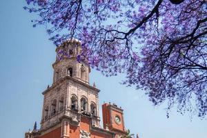 jacaranda träd lila blommor bakgrund av tempel av san francisco de i befintligt skick i queretaro mexico foto