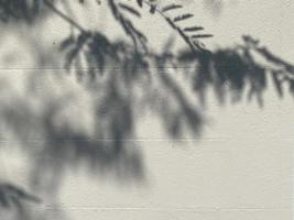 löv skugga bakgrund på betong vägg textur, löv träd grenar skugga med solljus foto