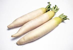 vit rädisa eller daikon isolerat i vit bakgrund foto