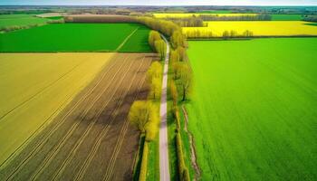 generativ ai, bruka landskap, jordbruks fält, skön landsbygden, Land väg. natur illustration, fotorealistisk topp se Drönare, horisontell baner. foto