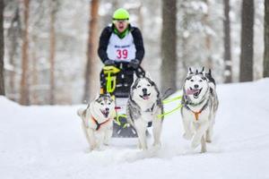 husky slädhundkapplöpning foto