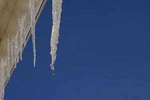 vår droppar falls ner från lång kristall smältande istappar hängande ner innan klar blå himmel på ljus solig tina dag. de begrepp av de början av vår, de slutet av vinter, tina. foto