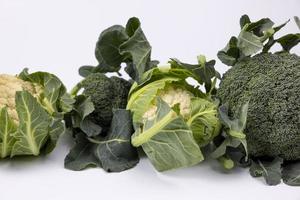 ett organisk broccoli mot vit bakgrund foto