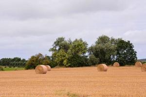 naturskön lantlig landskap foto