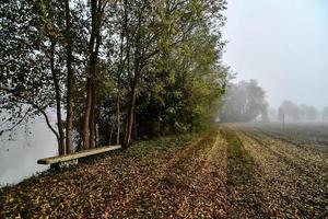 naturskön lantlig landskap foto