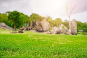 fokuserat grönt gräs i golfbanaträdgården foto