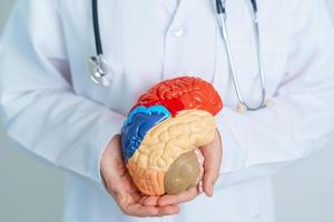 läkare innehav mänsklig hjärna modell. värld hjärna tumör dag, hjärna stroke, demens, alzheimer, parkinson och värld mental hälsa begrepp foto