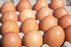 kyckling brun ägg i kartong låda på tabell foto