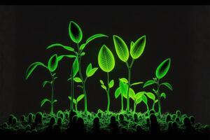 ai genererad plantor glöder i de mörk grön bakgrund. foto