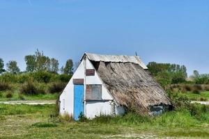 naturskön lantlig landskap foto