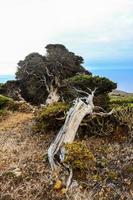 naturskön lantlig landskap foto