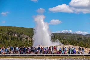 gammal trogen gejser i yellowstone nationell parkera, USA foto