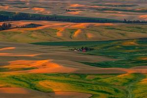 se av stegtå butte i de palouse område, Washington stat USA foto