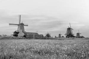 traditionell gammal by med holländska väderkvarnar i amsterdam, nederländerna foto