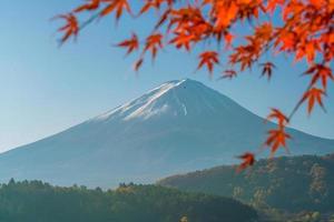 mt. fuji på hösten med röda lönnlöv foto