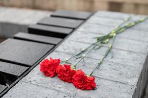 tre nejlikor lögn på en granit platta utanför. dag av minne och sorg foto
