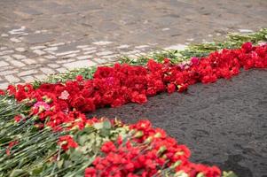 röd nejlika blommor lagd på en marmor platta foto