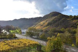 höst vingårdar i mosel dal foto