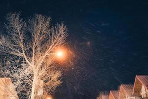 fluffig snöfall är faller genom de gata ljus glans och torr träd på de natt foto