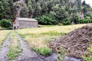 naturskön lantlig landskap foto