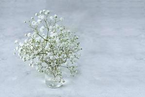 bukett gypsophila på en grå marmorbakgrund foto