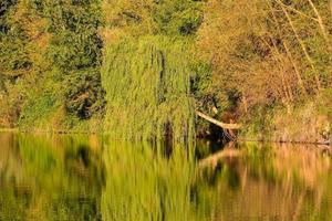 naturskön lantlig landskap foto