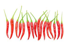 röd chilipeppar på vit bakgrund foto