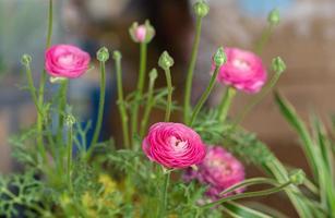 skön röd blommor reste sig bukett foto