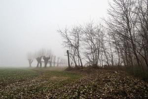 naturskön lantlig landskap foto