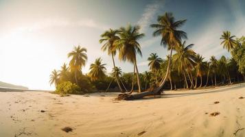 tropisk paradis eller kokos handflatan strand eller vit sand lagun foto