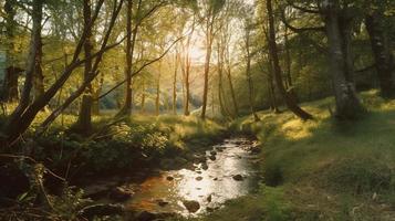 en fredlig skog clearing badade i värma solljus, omgiven förbi lång träd och frodig lövverk, med en mild ström sipprar genom de undervegetation och en avlägsen berg räckvidd synlig foto