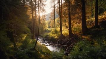 en fredlig skog clearing badade i värma solljus, omgiven förbi lång träd och frodig lövverk, med en mild ström sipprar genom de undervegetation och en avlägsen berg räckvidd synlig foto