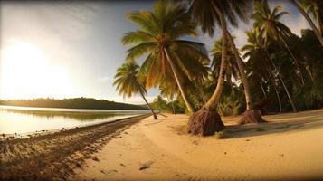 tropisk paradis eller kokos handflatan strand eller vit sand lagun foto